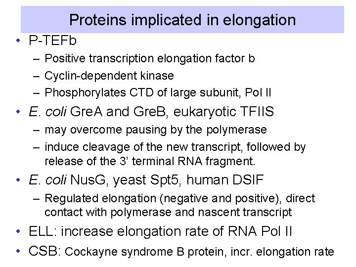 Proteins implicated in elongation • P-TEFb – Positive transcription elongation factor b – Cyclin-dependent