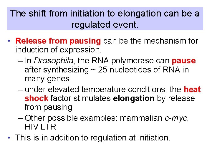 The shift from initiation to elongation can be a regulated event. • Release from