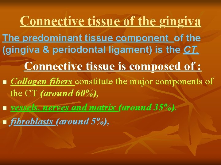 Connective tissue of the gingiva The predominant tissue component of the (gingiva & periodontal