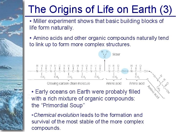 The Origins of Life on Earth (3) • Miller experiment shows that basic building