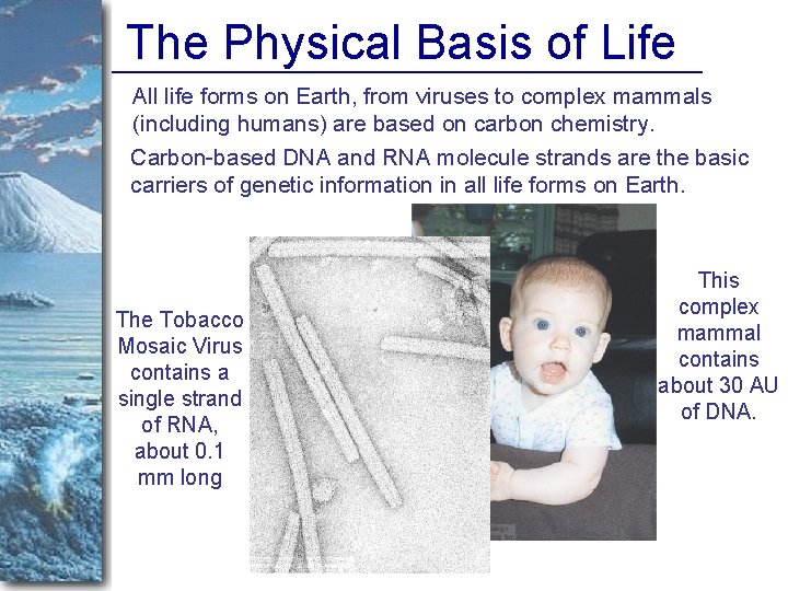 The Physical Basis of Life All life forms on Earth, from viruses to complex