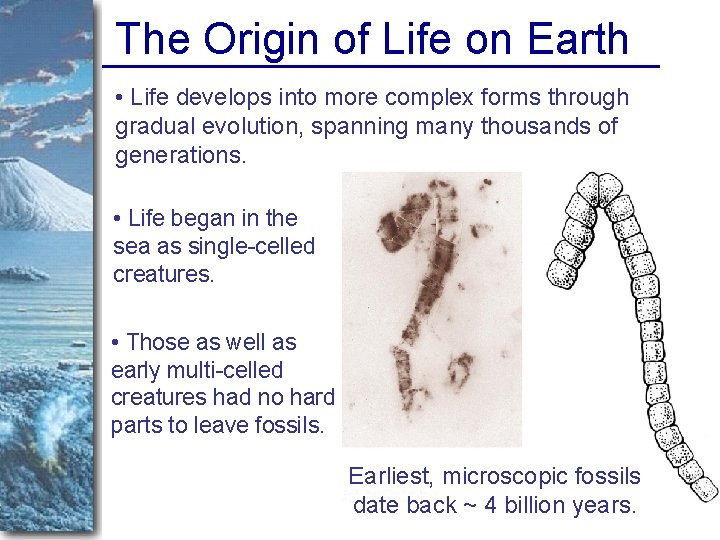 The Origin of Life on Earth • Life develops into more complex forms through