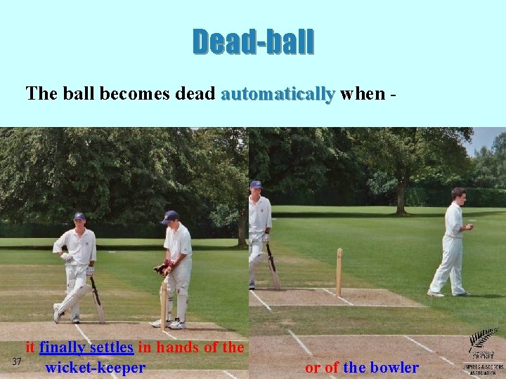 Dead-ball The ball becomes dead automatically when - it finally settles in hands of Dead-ball The ball becomes dead automatically when - it finally settles in hands of
