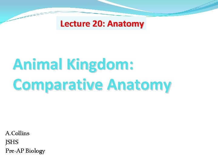 Lecture 20: Anatomy Animal Kingdom: Comparative Anatomy A. Collins JSHS Pre-AP Biology 