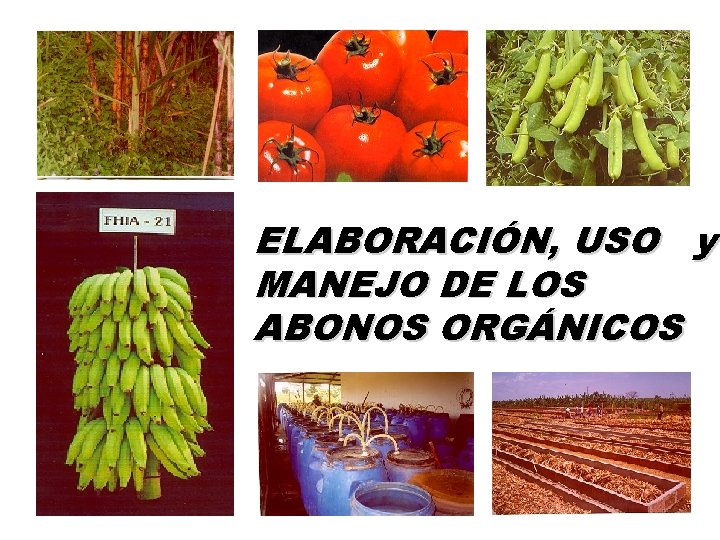 ELABORACIÓN, USO y MANEJO DE LOS ABONOS ORGÁNICOS 