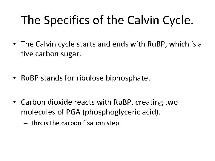 The Specifics of the Calvin Cycle. • The Calvin cycle starts and ends with