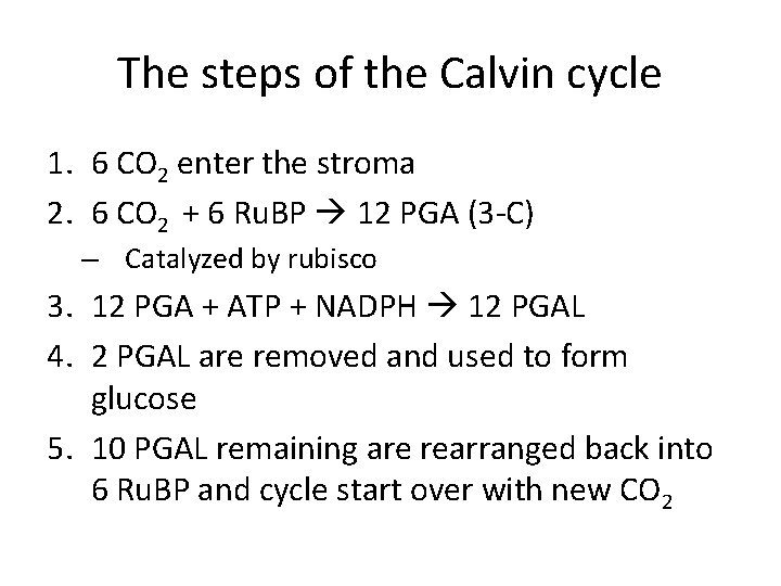 The steps of the Calvin cycle 1. 6 CO 2 enter the stroma 2.