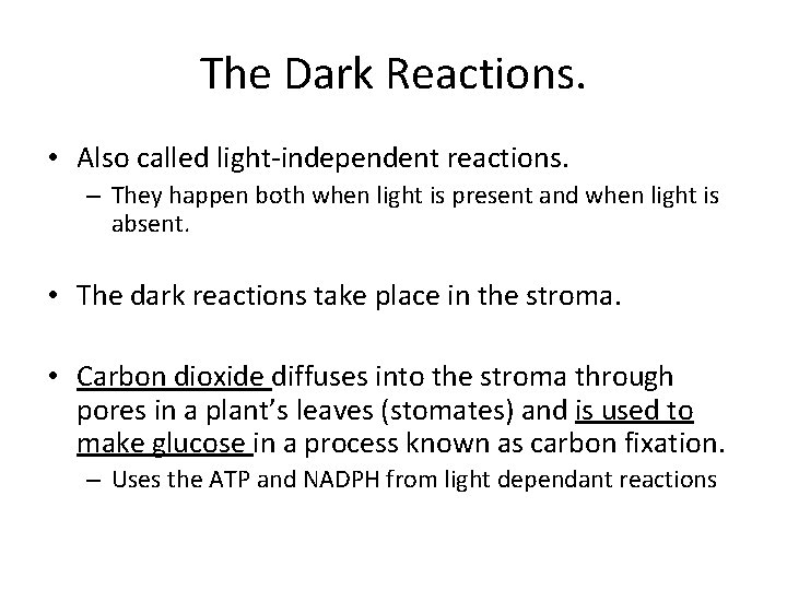 The Dark Reactions. • Also called light-independent reactions. – They happen both when light