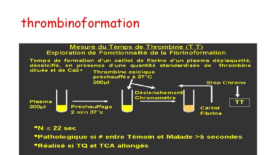 thrombinoformation 