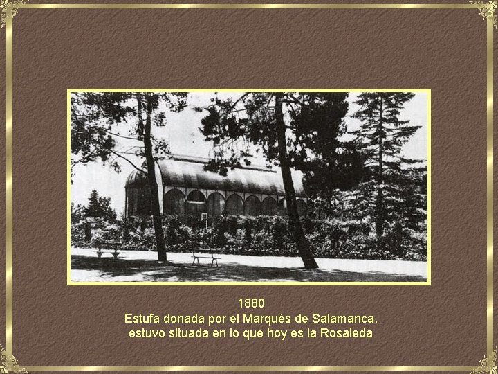 1880 Estufa donada por el Marqués de Salamanca, estuvo situada en lo que hoy