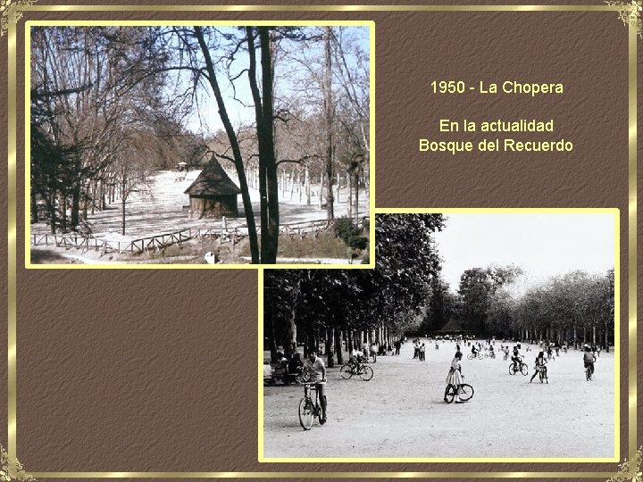 1950 - La Chopera En la actualidad Bosque del Recuerdo 