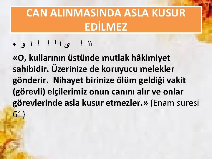 CAN ALINMASINDA ASLA KUSUR EDİLMEZ ﺍﺍ ﺍ ﻯ ﺍ ﺍ ﺍ ﻭ «O, kullarının