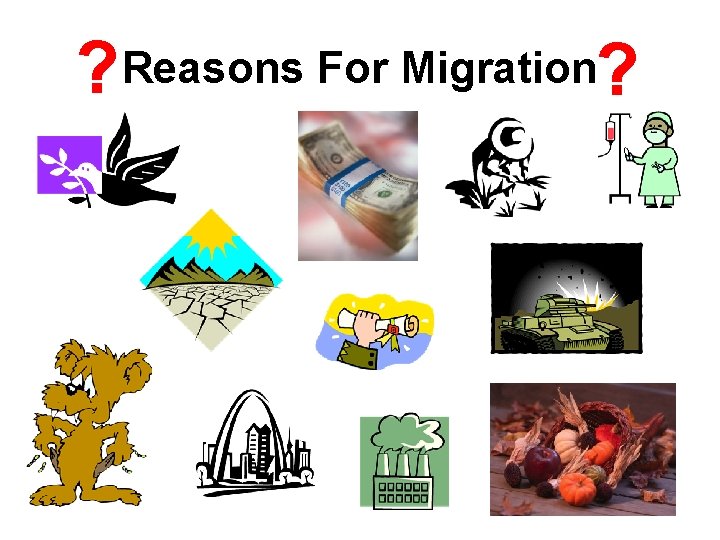 ? Reasons For Migration? 