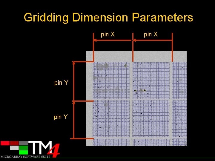 Gridding Dimension Parameters pin X pin Y pin X 