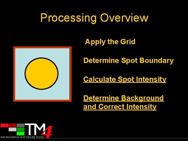 Processing Overview Apply the Grid Determine Spot Boundary Calculate Spot Intensity Determine Background and