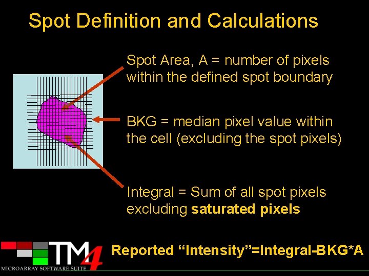 Spot Definition and Calculations Spot Area, A = number of pixels within the defined
