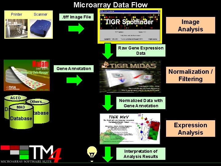 Microarray Data Flow Printer Scanner . tiff Image File Image Analysis Raw Gene Expression