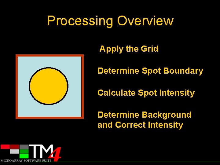 Processing Overview Apply the Grid Determine Spot Boundary Calculate Spot Intensity Determine Background and