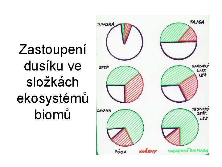 Zastoupení dusíku ve složkách ekosystémů biomů 