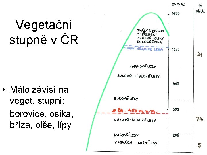 Vegetační stupně v ČR • Málo závisí na veget. stupni: borovice, osika, bříza, olše,