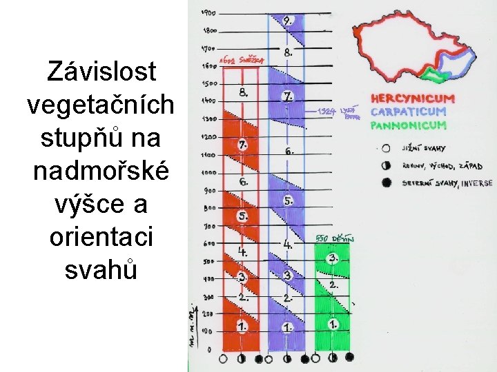 Závislost vegetačních stupňů na nadmořské výšce a orientaci svahů 