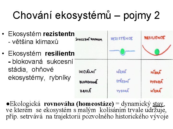 Chování ekosystémů – pojmy 2 • Ekosystém rezistentní - většina klimaxů • Ekosystém resilientní