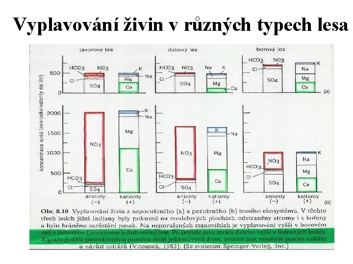 Vyplavování živin v různých typech lesa 