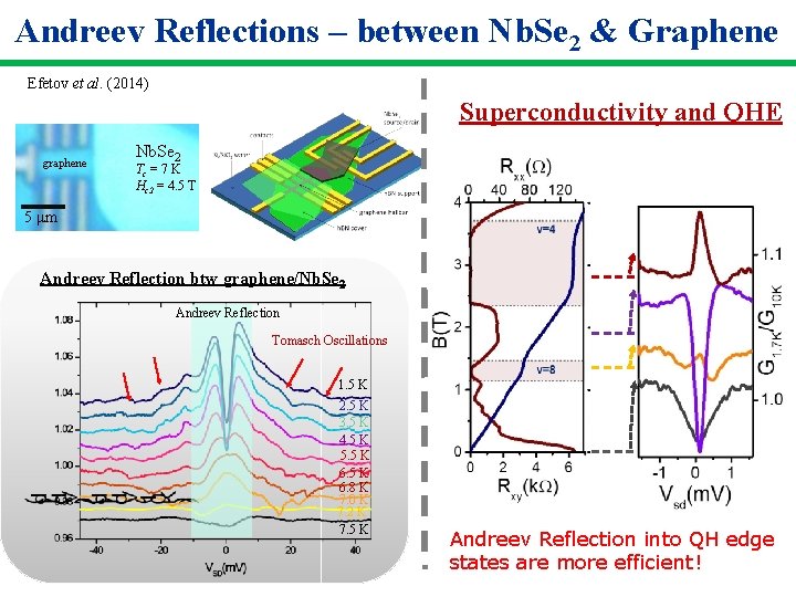 Andreev Reflections – between Nb. Se 2 & Graphene Efetov et al. (2014) Superconductivity