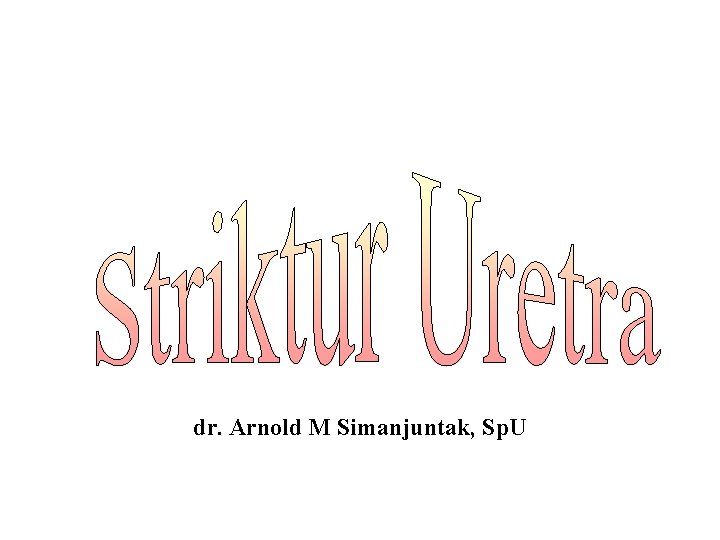 dr. Arnold M Simanjuntak, Sp. U 
