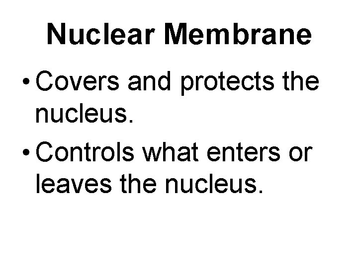 Nuclear Membrane • Covers and protects the nucleus. • Controls what enters or leaves