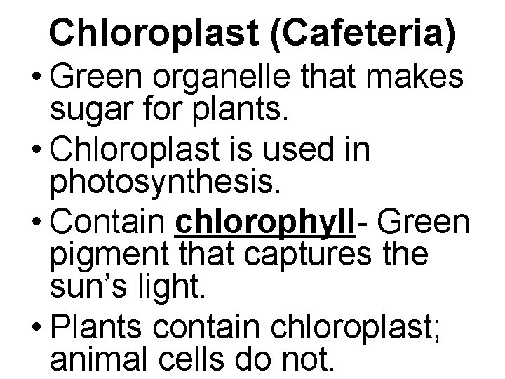 Chloroplast (Cafeteria) • Green organelle that makes sugar for plants. • Chloroplast is used