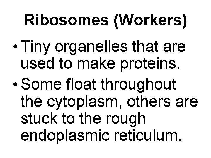 Ribosomes (Workers) • Tiny organelles that are used to make proteins. • Some float