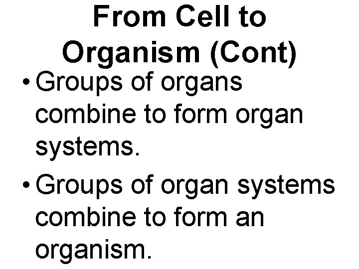 From Cell to Organism (Cont) • Groups of organs combine to form organ systems.
