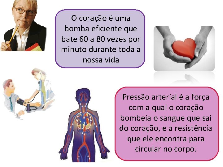 O coração é uma bomba eficiente que bate 60 a 80 vezes por minuto