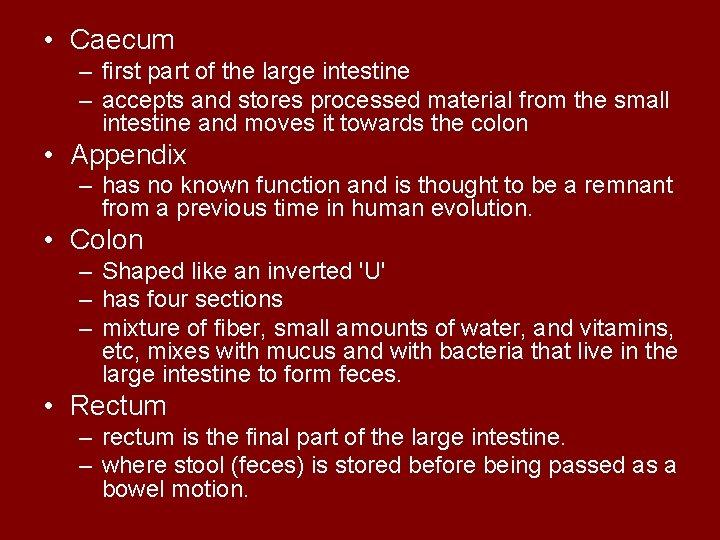  • Caecum – first part of the large intestine – accepts and stores