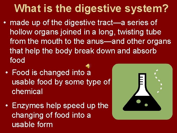 What is the digestive system? • made up of the digestive tract—a series of
