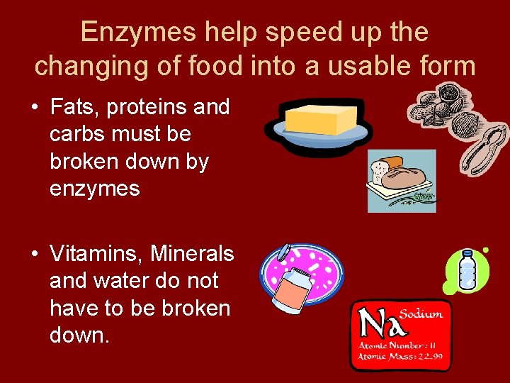 Enzymes help speed up the changing of food into a usable form • Fats,