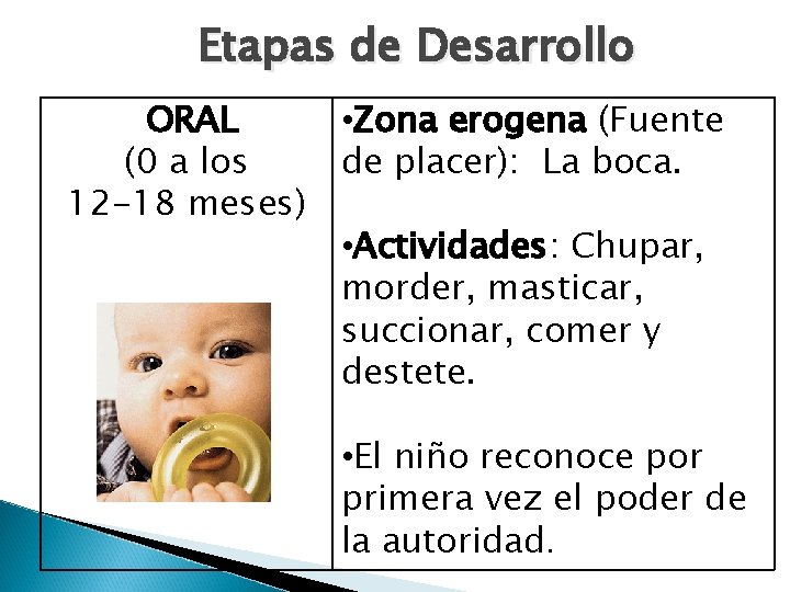 Etapas de Desarrollo ORAL • Zona erogena (Fuente (0 a los de placer): La