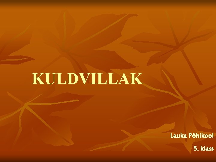 KULDVILLAK Lauka Põhikool 5. klass 