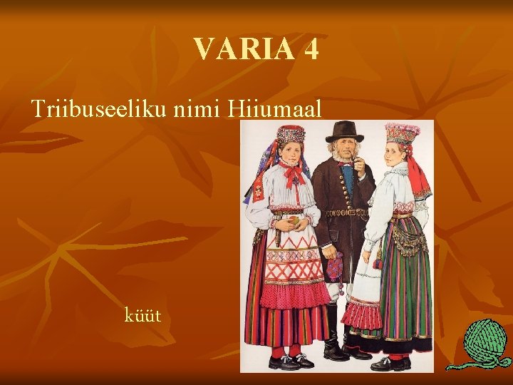 VARIA 4 Triibuseeliku nimi Hiiumaal küüt 