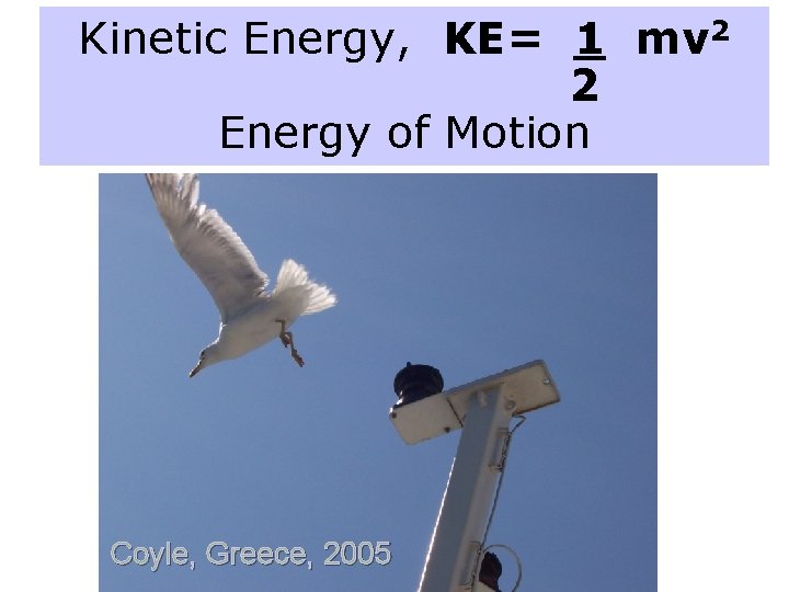 Kinetic Energy, KE= 1 mv 2 2 Energy of Motion Coyle, Greece, 2005 Kinetic Energy, KE= 1 mv 2 2 Energy of Motion Coyle, Greece, 2005