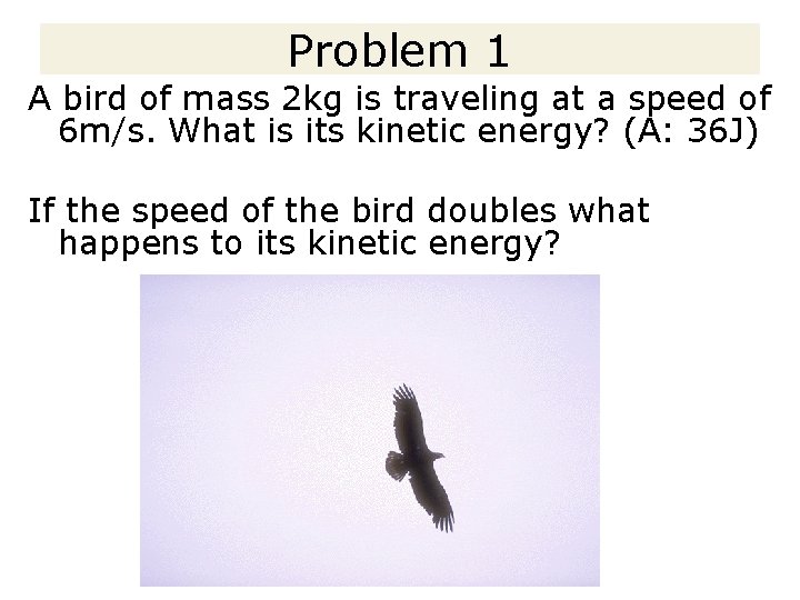 Problem 1 A bird of mass 2 kg is traveling at a speed of Problem 1 A bird of mass 2 kg is traveling at a speed of
