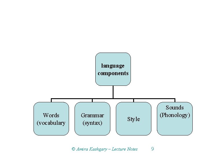 language components Words (vocabulary Grammar (syntax) Sounds (Phonology) Style © Amira Kashgary – Lecture