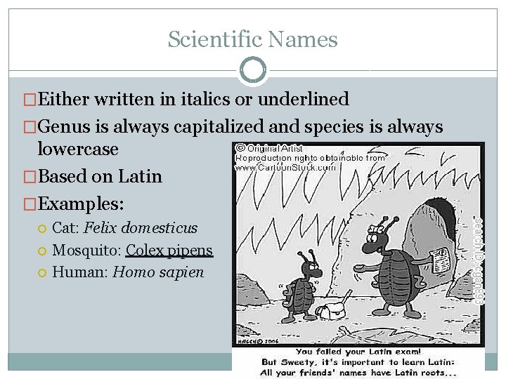 Scientific Names �Either written in italics or underlined �Genus is always capitalized and species Scientific Names �Either written in italics or underlined �Genus is always capitalized and species