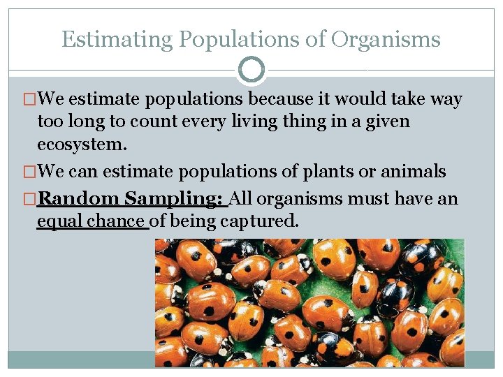 Estimating Populations of Organisms �We estimate populations because it would take way too long Estimating Populations of Organisms �We estimate populations because it would take way too long