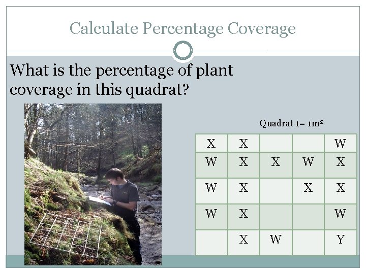 Calculate Percentage Coverage What is the percentage of plant coverage in this quadrat? Quadrat Calculate Percentage Coverage What is the percentage of plant coverage in this quadrat? Quadrat