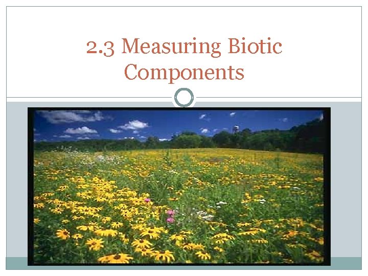 2. 3 Measuring Biotic Components 2. 3 Measuring Biotic Components