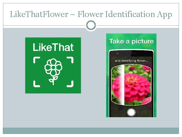Like. That. Flower – Flower Identification App Like. That. Flower – Flower Identification App