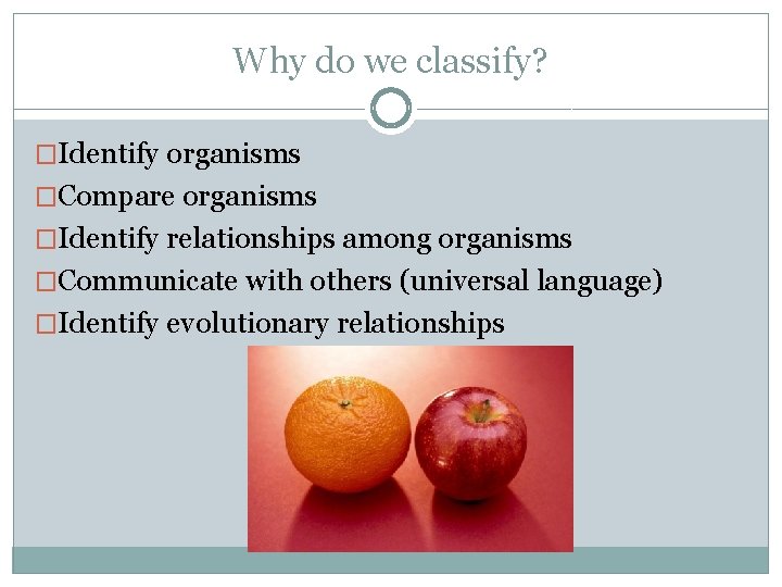 Why do we classify? �Identify organisms �Compare organisms �Identify relationships among organisms �Communicate with Why do we classify? �Identify organisms �Compare organisms �Identify relationships among organisms �Communicate with
