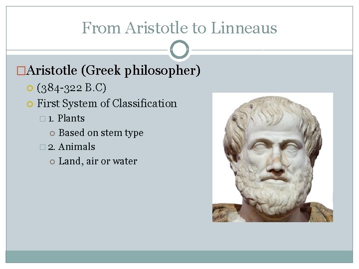 From Aristotle to Linneaus �Aristotle (Greek philosopher) (384 -322 B. C) First System of From Aristotle to Linneaus �Aristotle (Greek philosopher) (384 -322 B. C) First System of